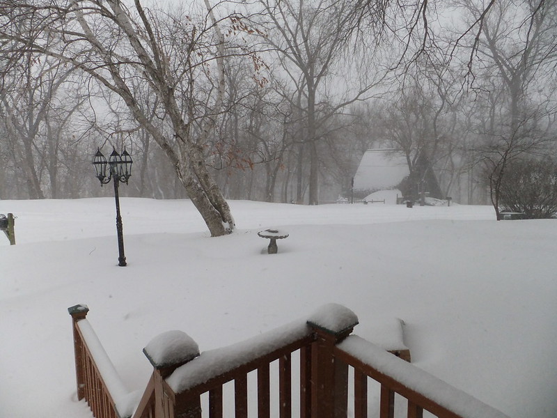 Photo of snow in backyard of Missouri home